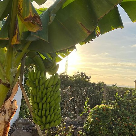 Un Paraiso En Tenerife Villa Punta Del Hidalgo Bagian luar foto