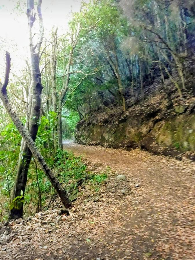 Un Paraiso En Tenerife Villa Punta Del Hidalgo Bagian luar foto