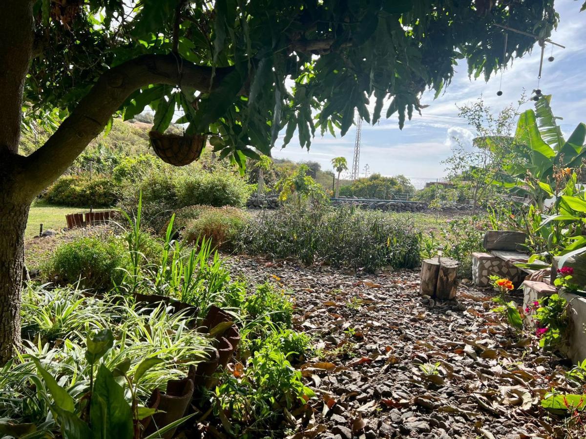 Un Paraiso En Tenerife Villa Punta Del Hidalgo Bagian luar foto